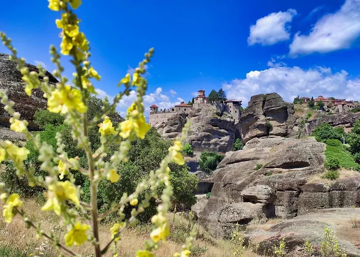 Πανσιόν The Stone Forest 3*