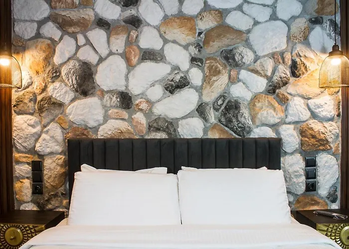 Πανσιόν The Stone Forest